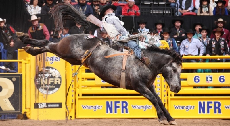 Rookie Bareback Rider Keenan Hayes Makes PRCA History with His World Championship