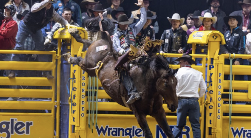 Schalla's Bareback Surge Continues with First Go-Round Buckle in Round 4