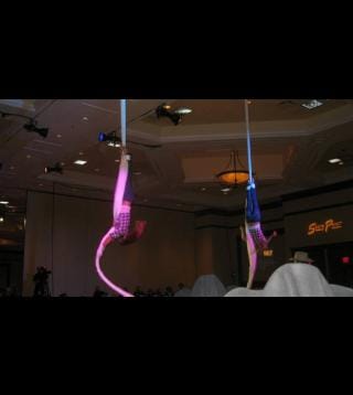 Gold Buckle Gala